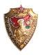 Знак "Старший пограннаряда" Металл, эмаль СССР, вторая половина ХХ века х 3,7 см Сохранность хорошая инфо 9710k.