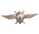 Знак "Военный летчик - 2 класс" Металл, эмаль СССР, вторая половина XX века х 2,7 см Сохранность хорошая инфо 9726k.