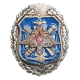 Знак Объединенных родов войск (металл, эмаль), Россия, конец XX века 1994 г инфо 9761k.