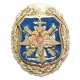 Знак Металл, эмаль Российская Федерация, 1999 год 1999 г инфо 9762k.