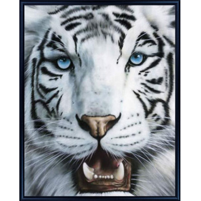 Постер "Белый тигр", 40 см х 50 см 50 см Артикул: WG 7021 инфо 9990k.
