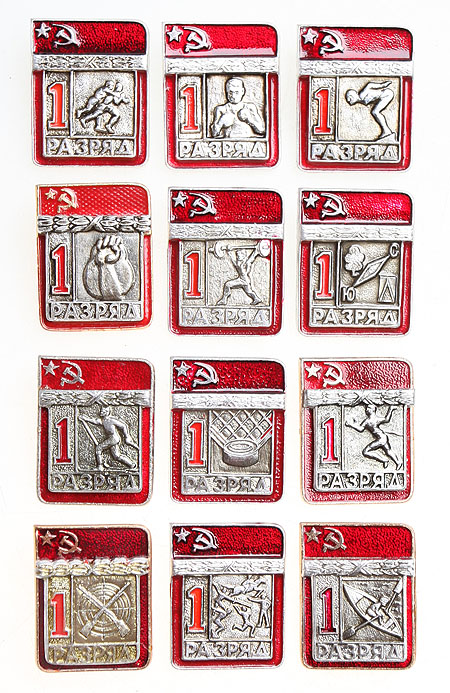 Первый разряд Комплект из 12 значков Металл, эмаль СССР, вторая половина ХХ века 1969 г инфо 10484k.