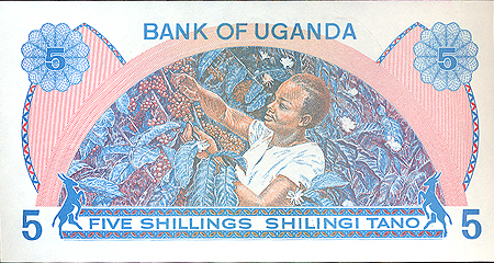 Купюра "5 шиллингов" Уганда, последняя треть ХХ века х 13,6 см Сохранность хорошая инфо 12612k.